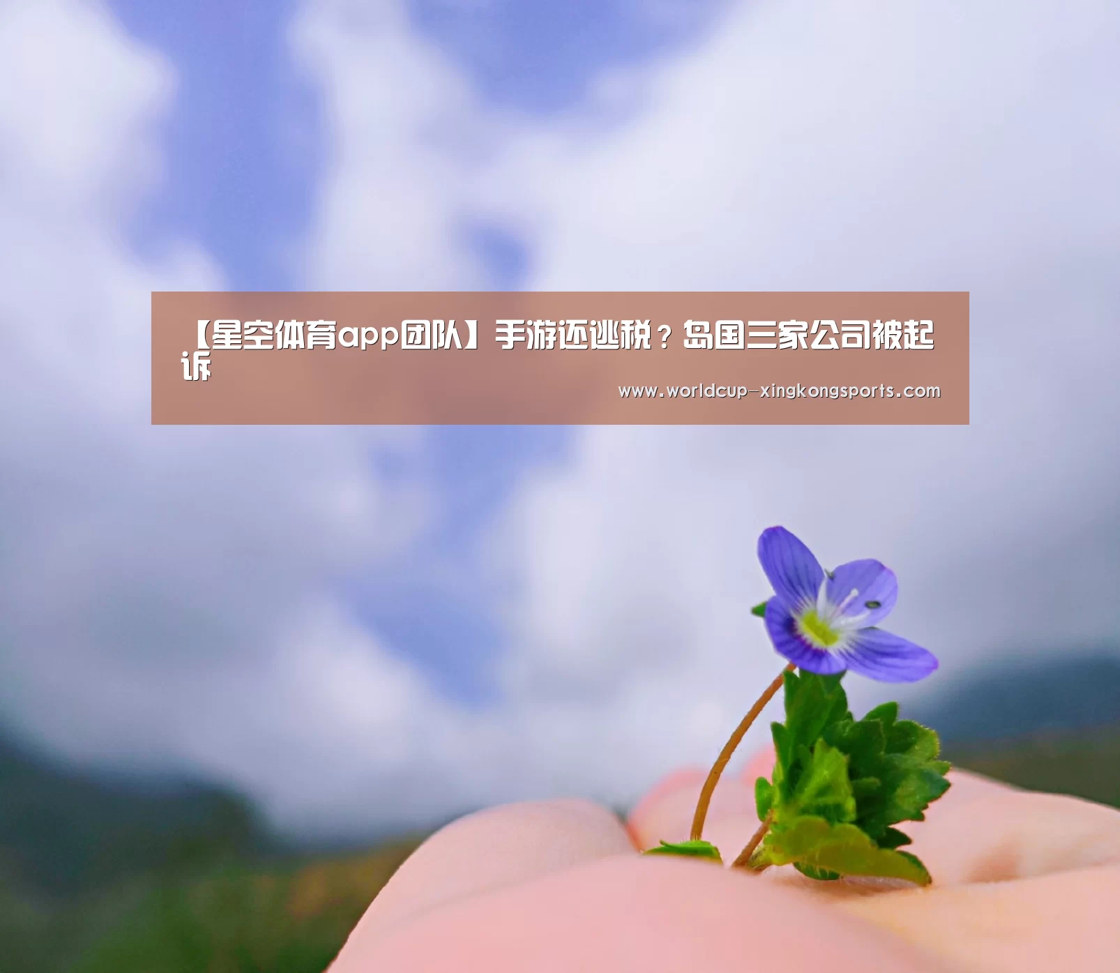 星空体育下载