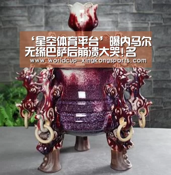 星空体育app团队
