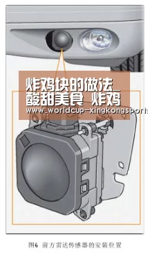 星空体育app团队