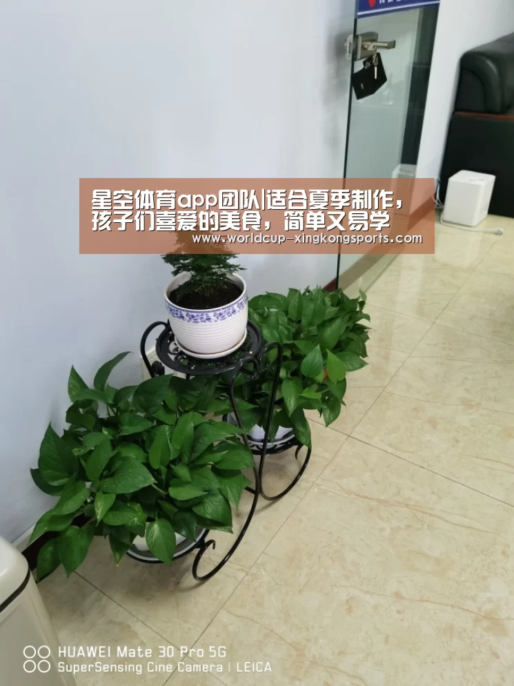 星空体育app团队