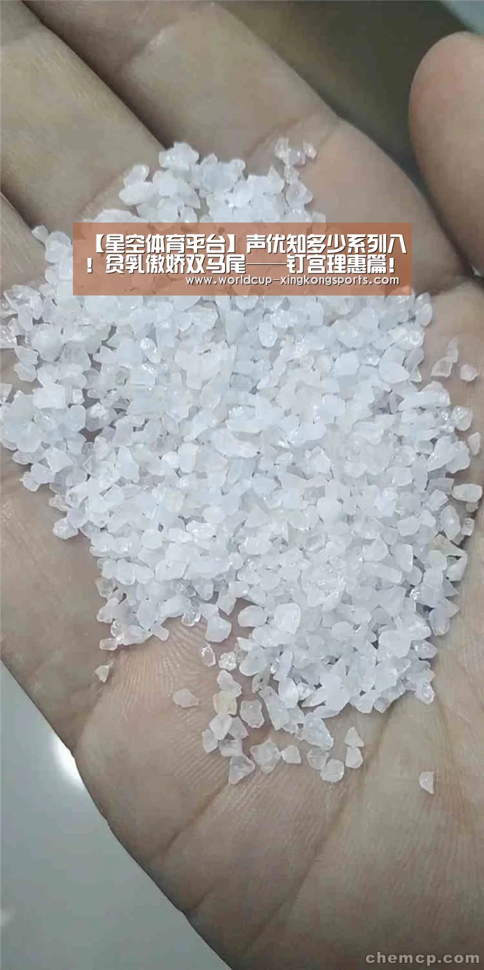 星空体育app团队