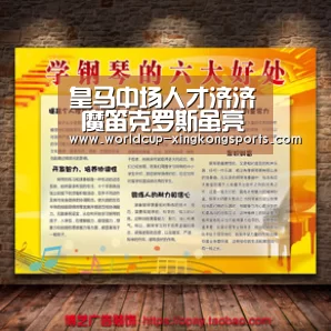 星空体育app团队
